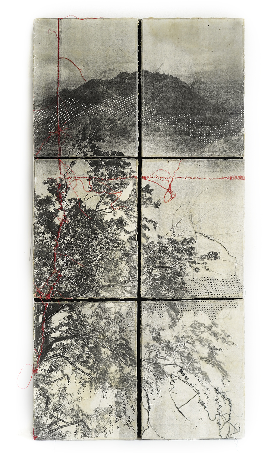 Thought Trails #657