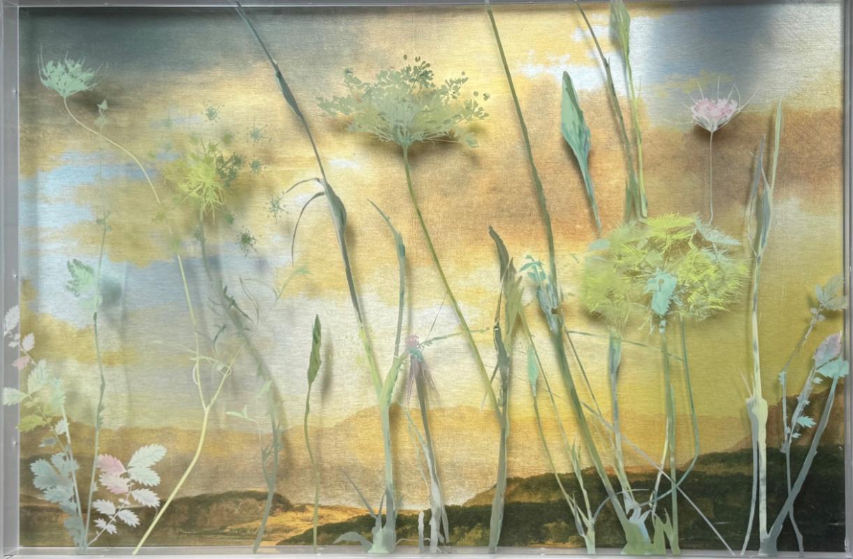 Unravel Flowers 6