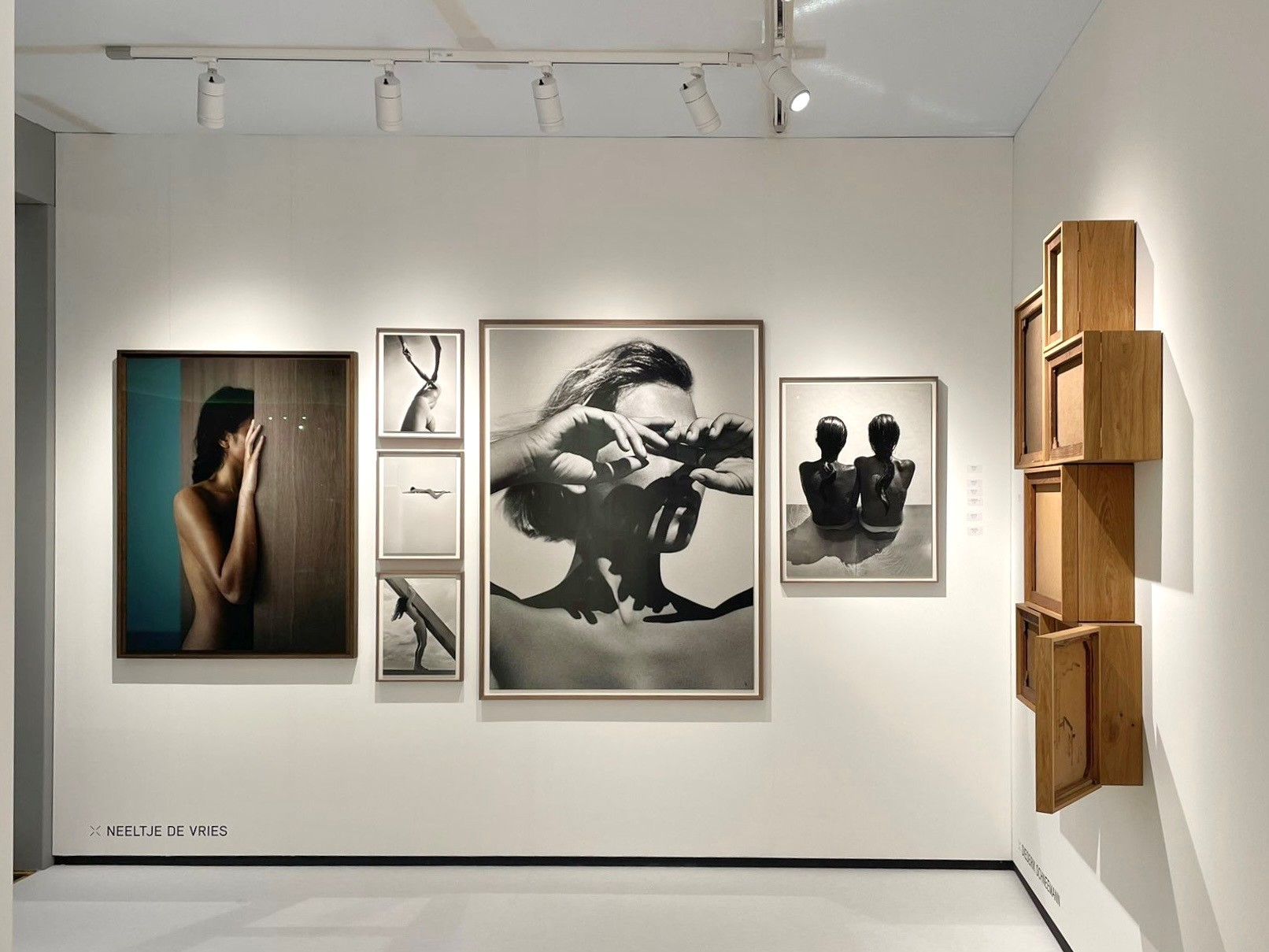 Alternate Text