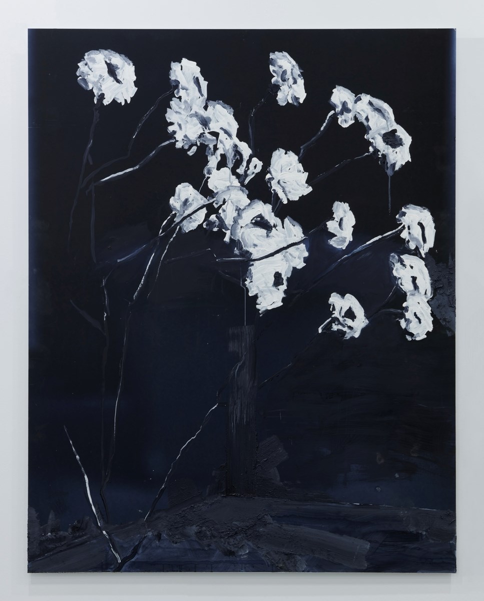 Ghostly petals, 2024