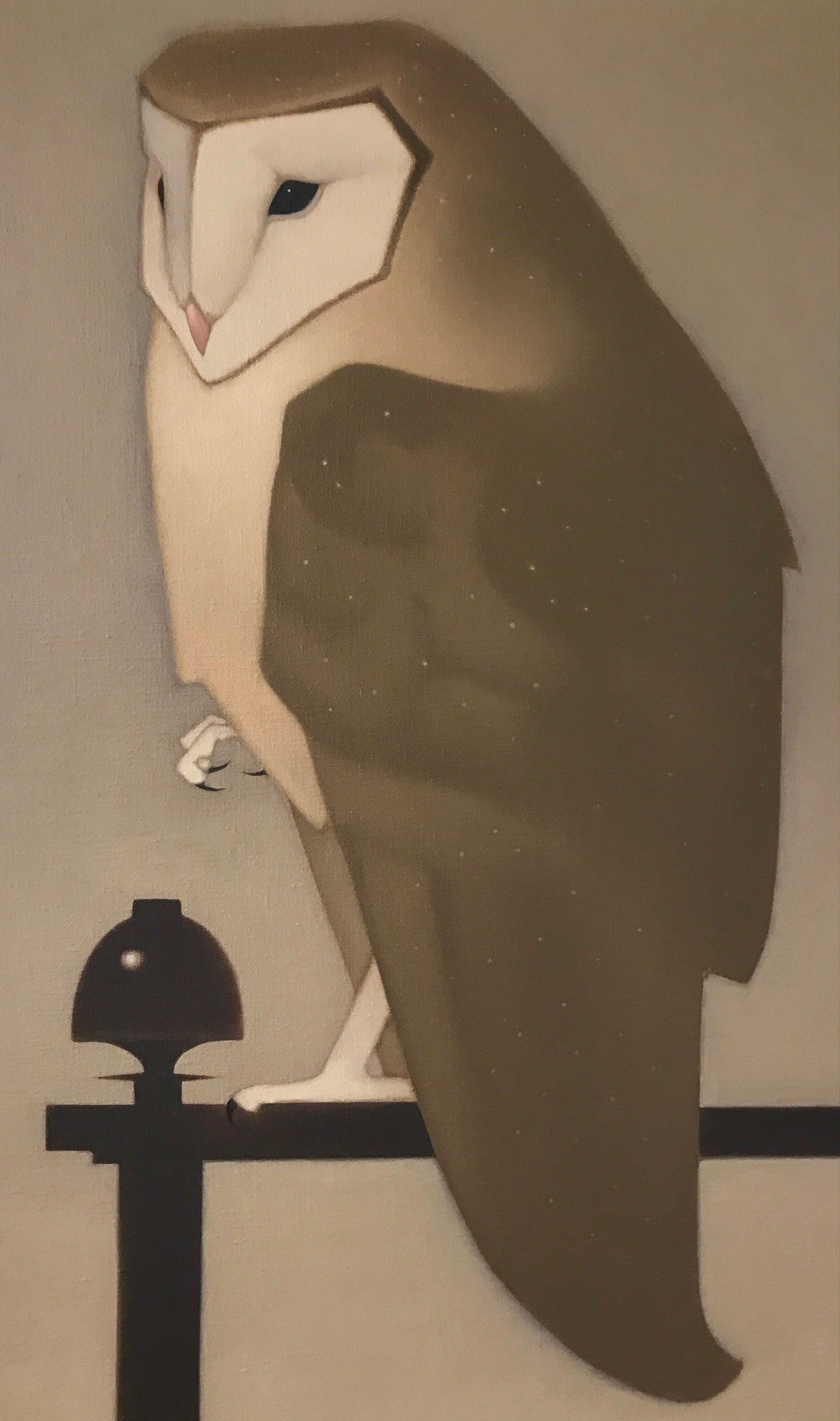 Barn owl (after Mankes)