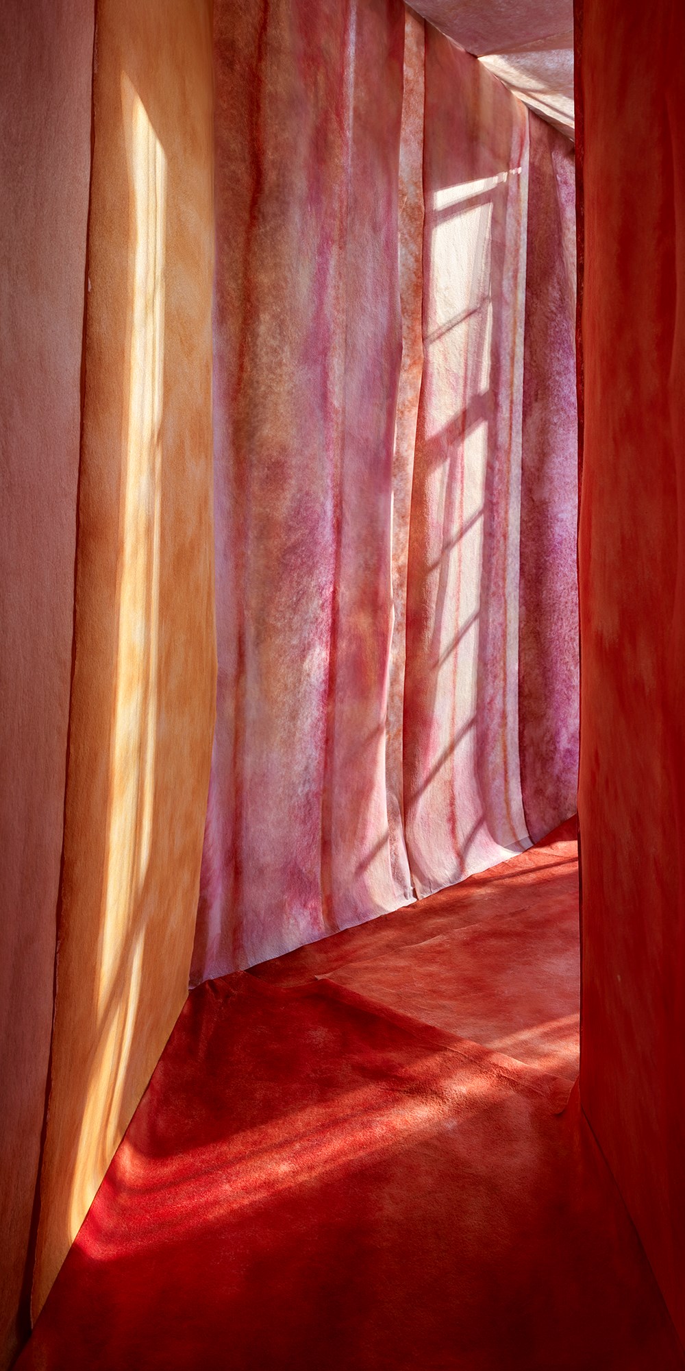 To Catch a Spark of Sunlight