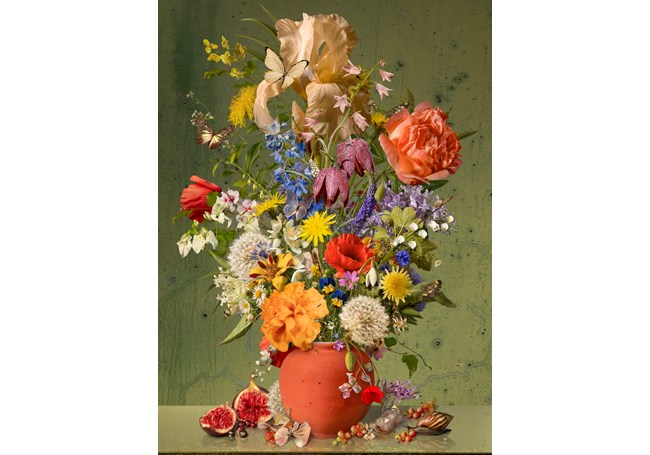 per van der horst Gallery